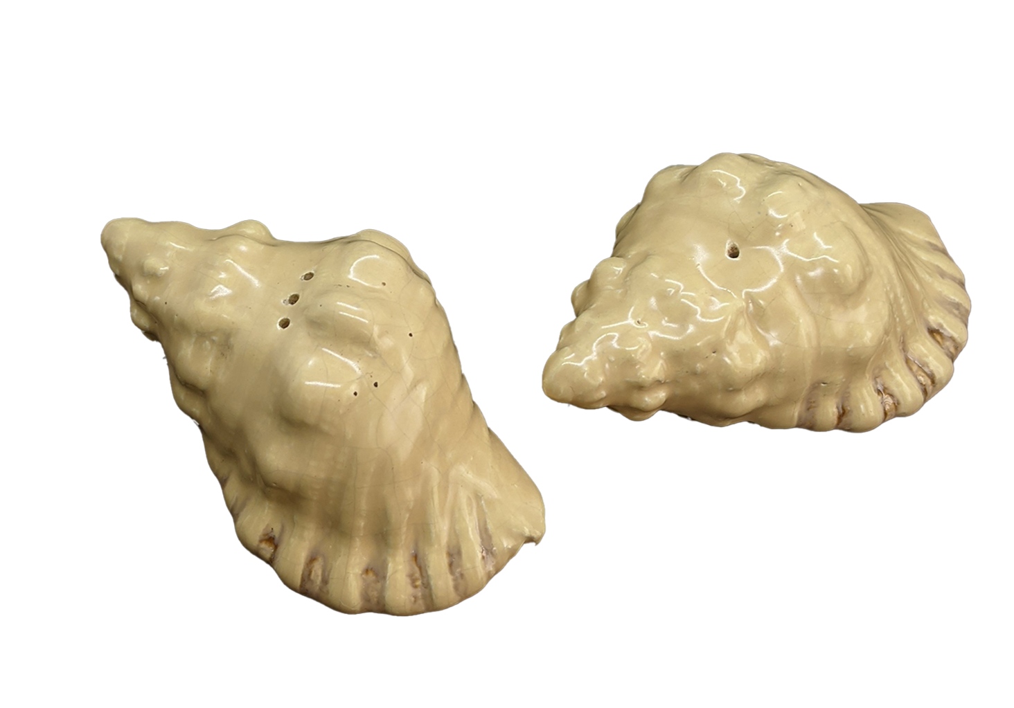 CONCH SHAKERS MOLLUSC HOUSE