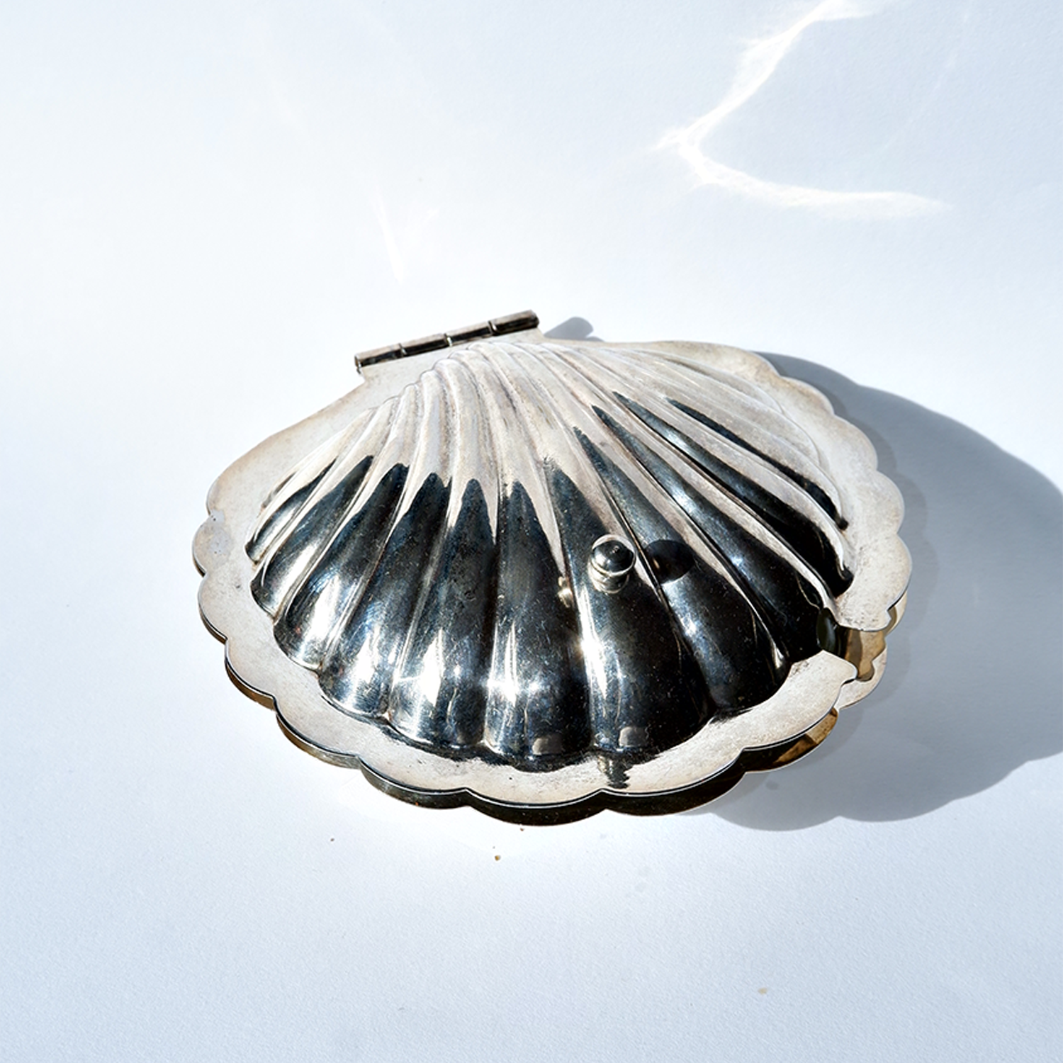 Caviar Shells SILVER CAVIAR SHELL – MOLLUSC HOUSE