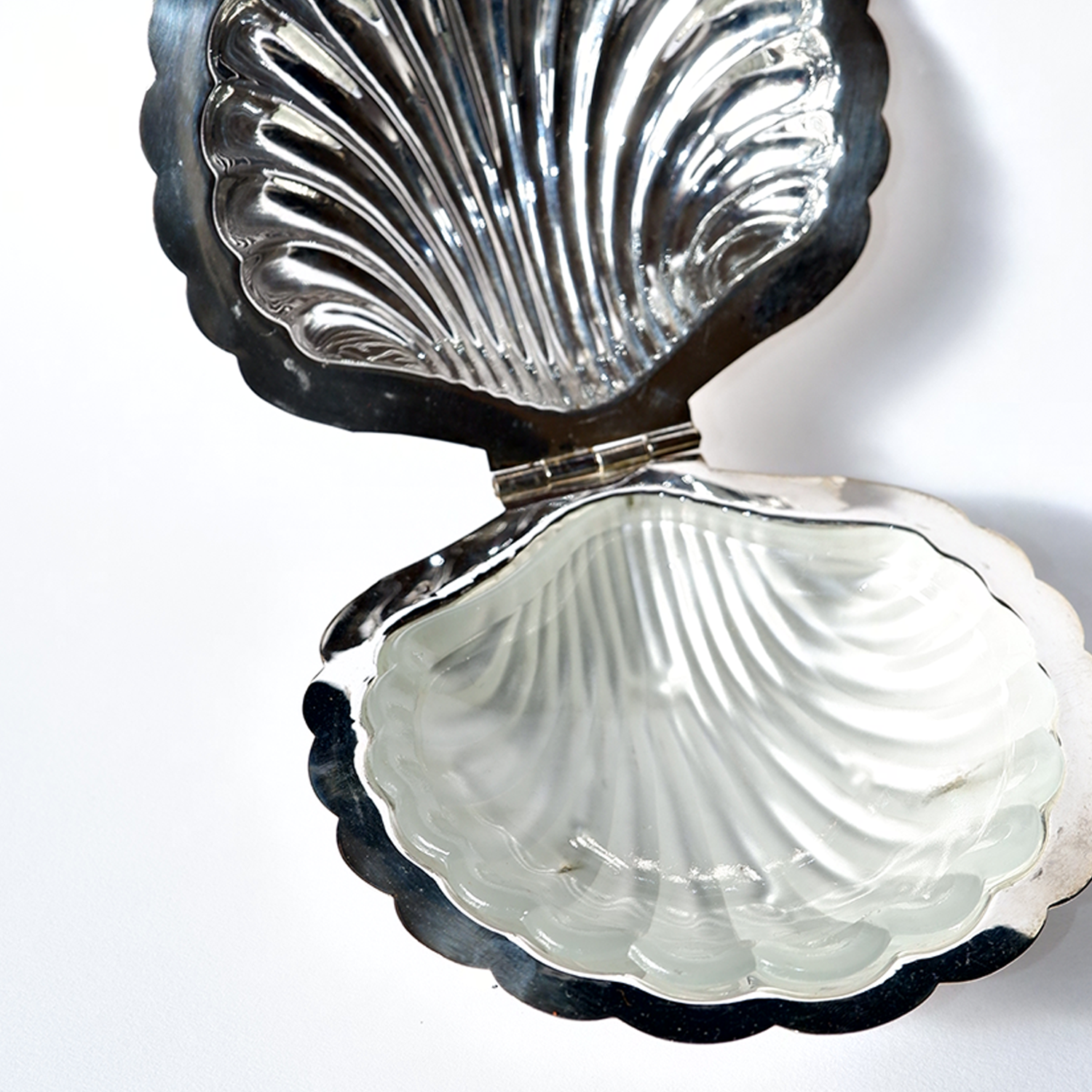 Caviar Shells SILVER CAVIAR SHELL – MOLLUSC HOUSE