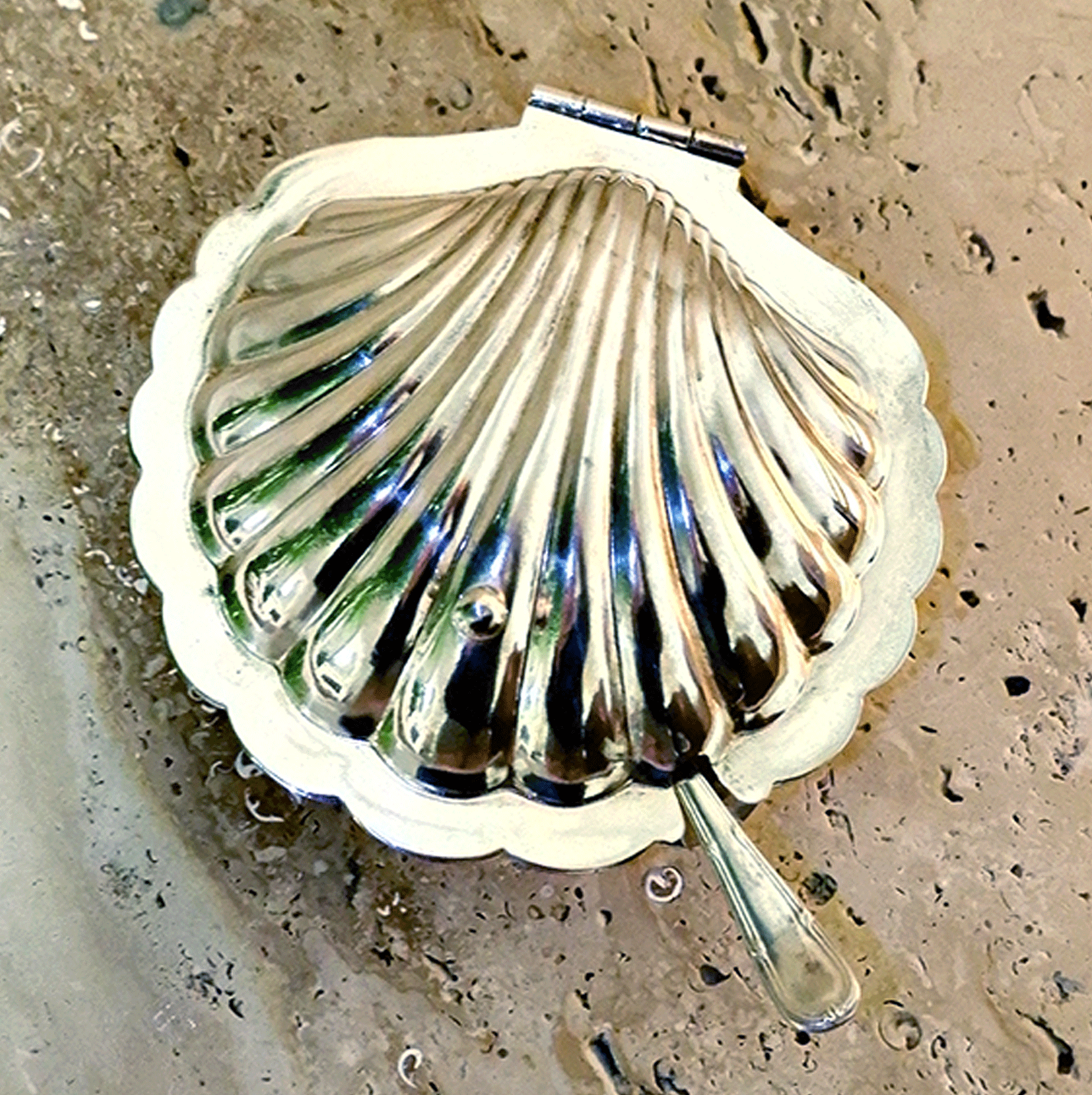 SILVER CAVIAR SHELL – MOLLUSC HOUSE