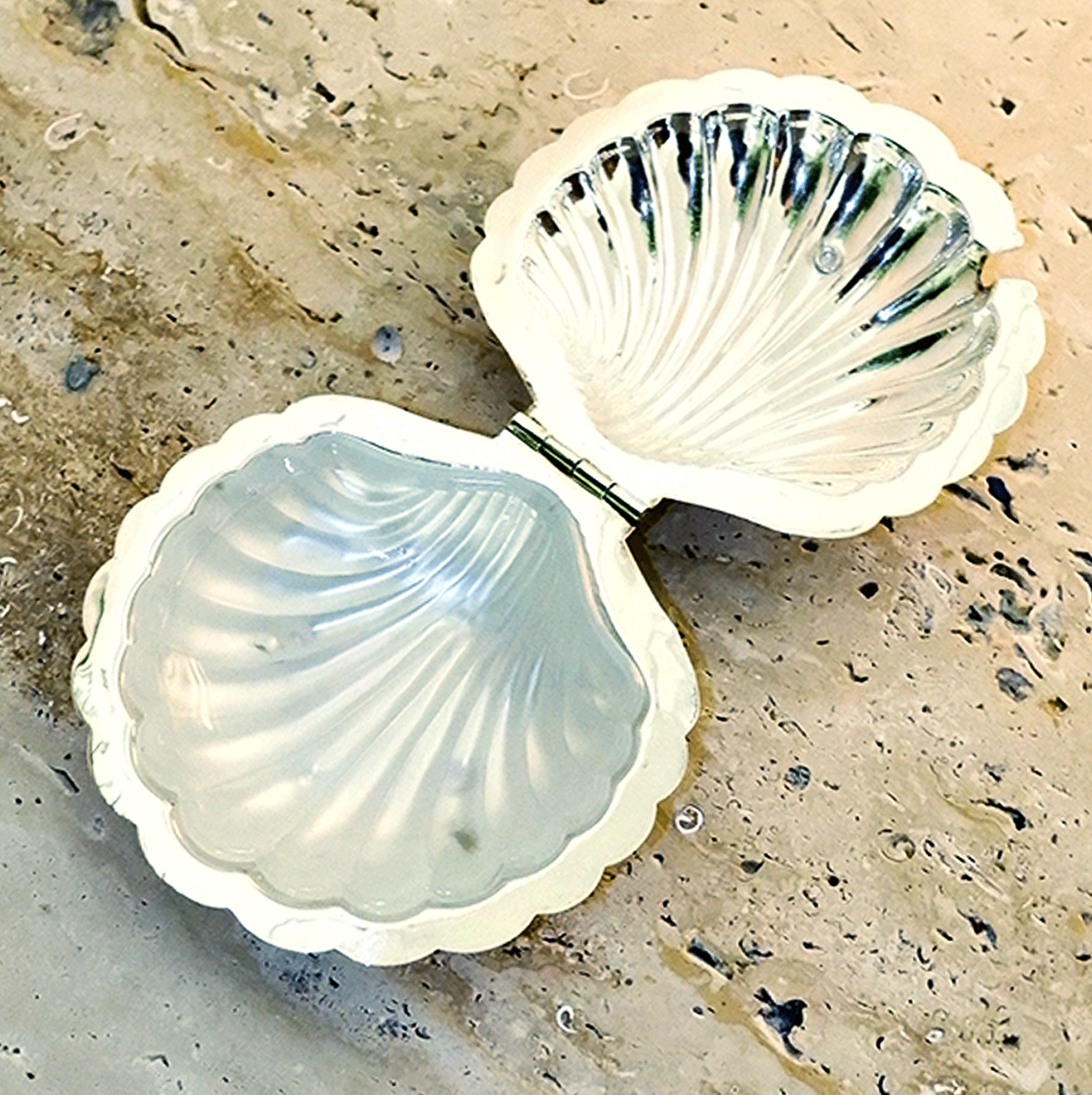Caviar Shells SILVER CAVIAR SHELL – MOLLUSC HOUSE