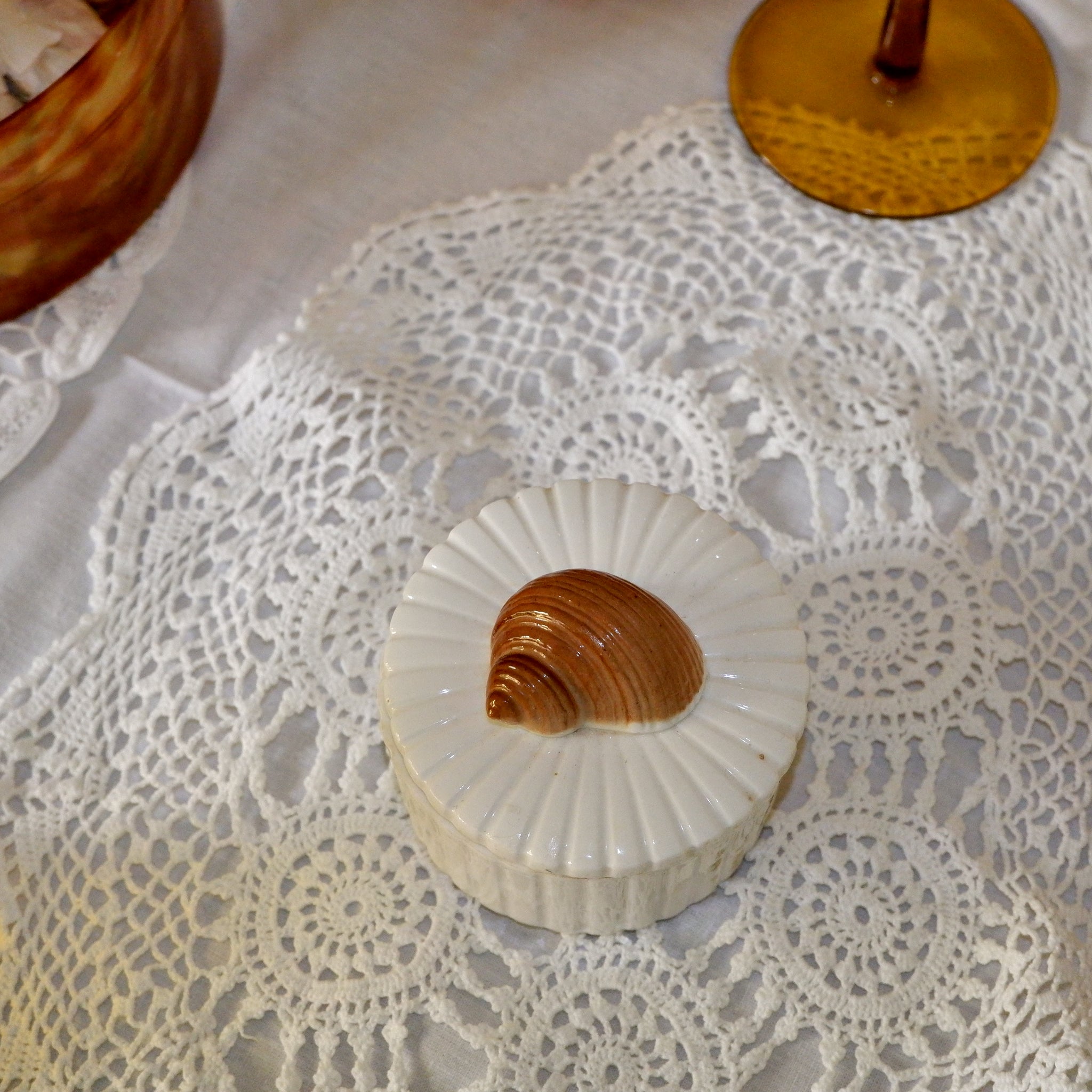SHELL BOX – MOLLUSC HOUSE