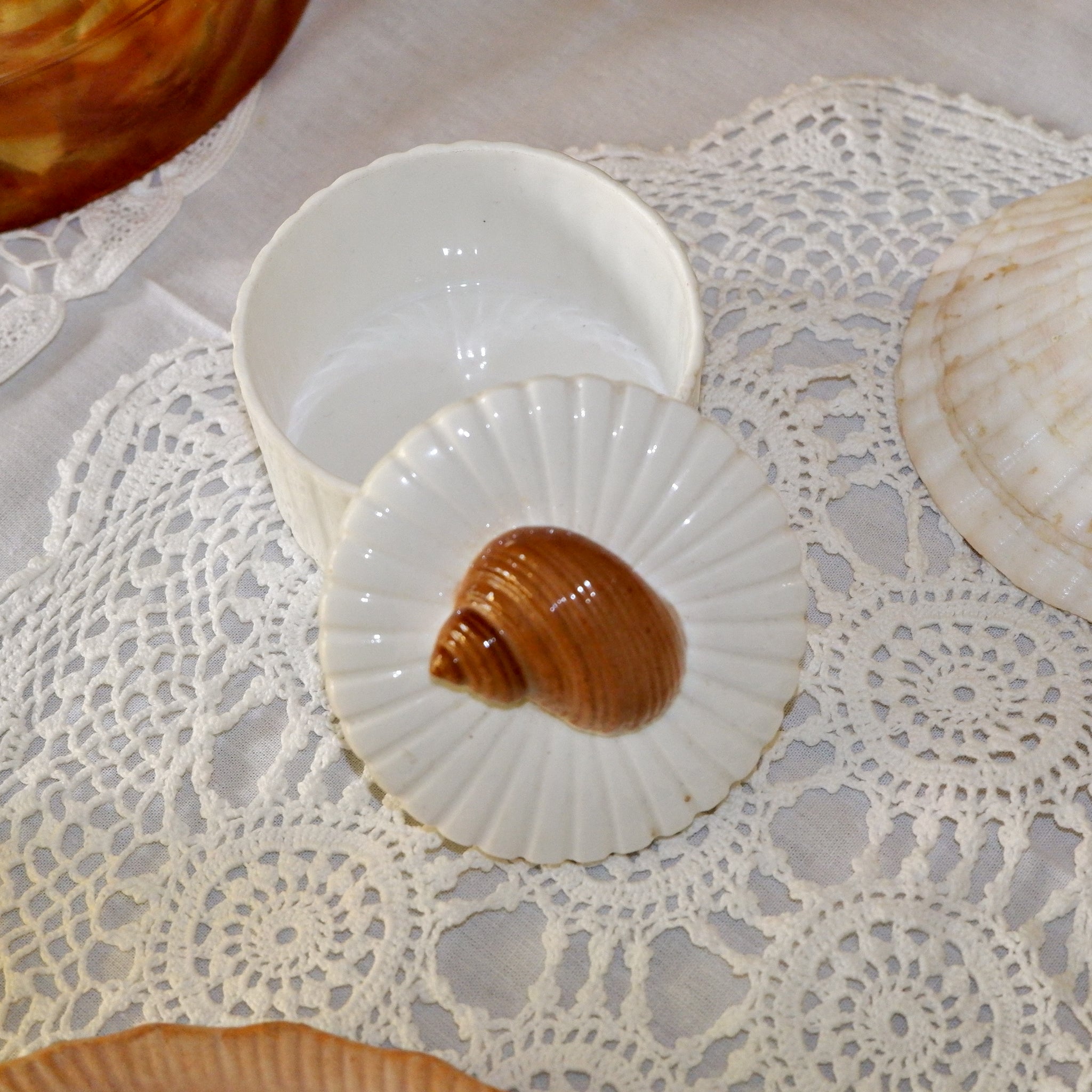 SHELL BOX – MOLLUSC HOUSE