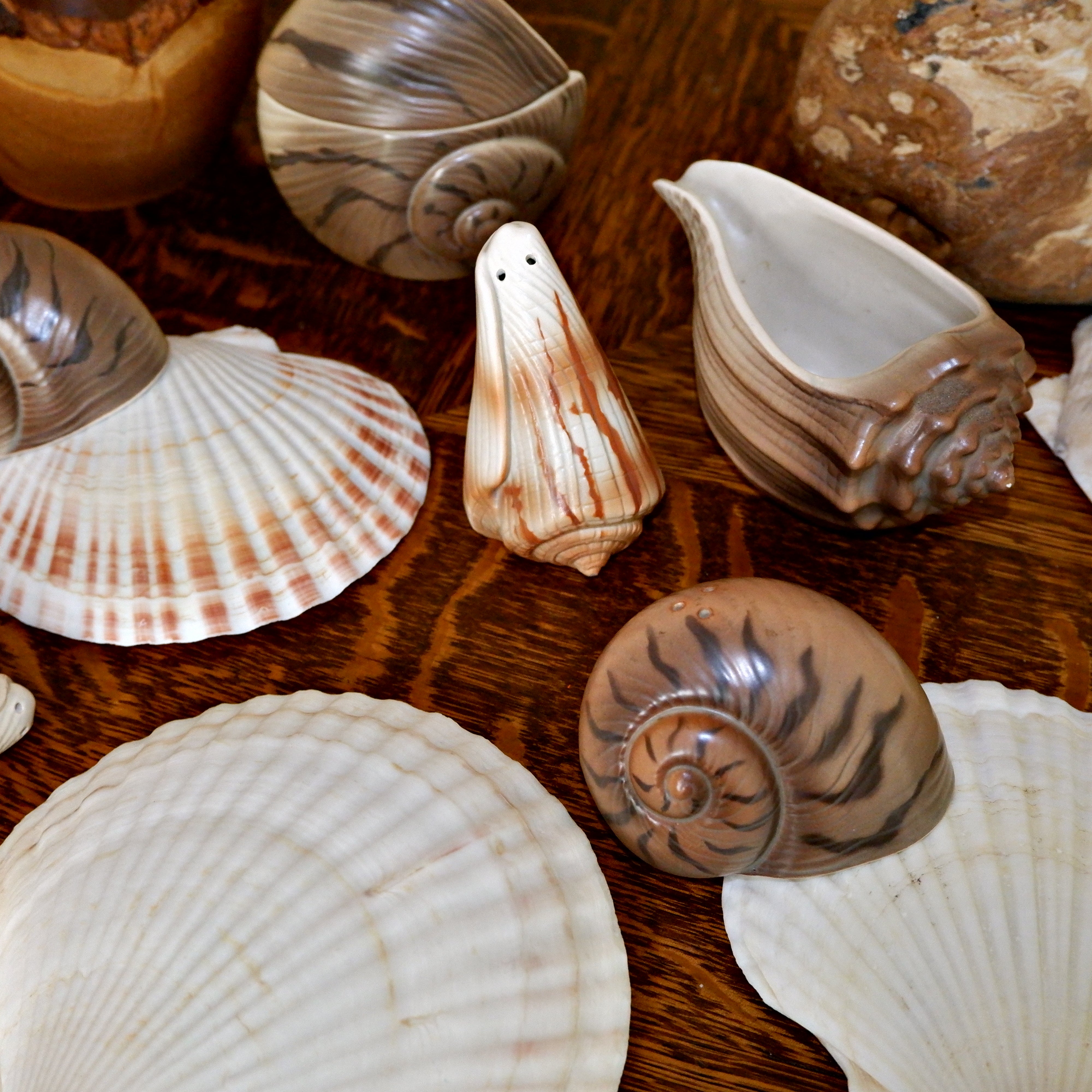 80'S SHELL SHAKERS – MOLLUSC HOUSE