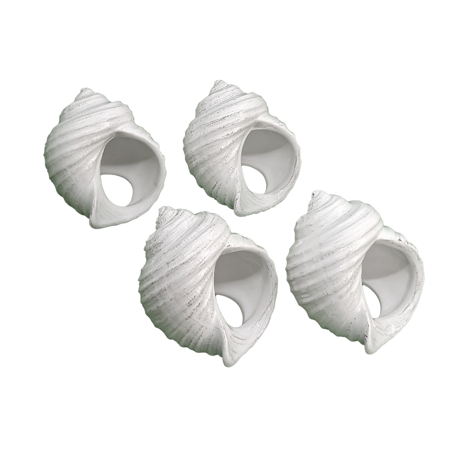 LARGE SHELL NAPKIN RINGS – MOLLUSC HOUSE