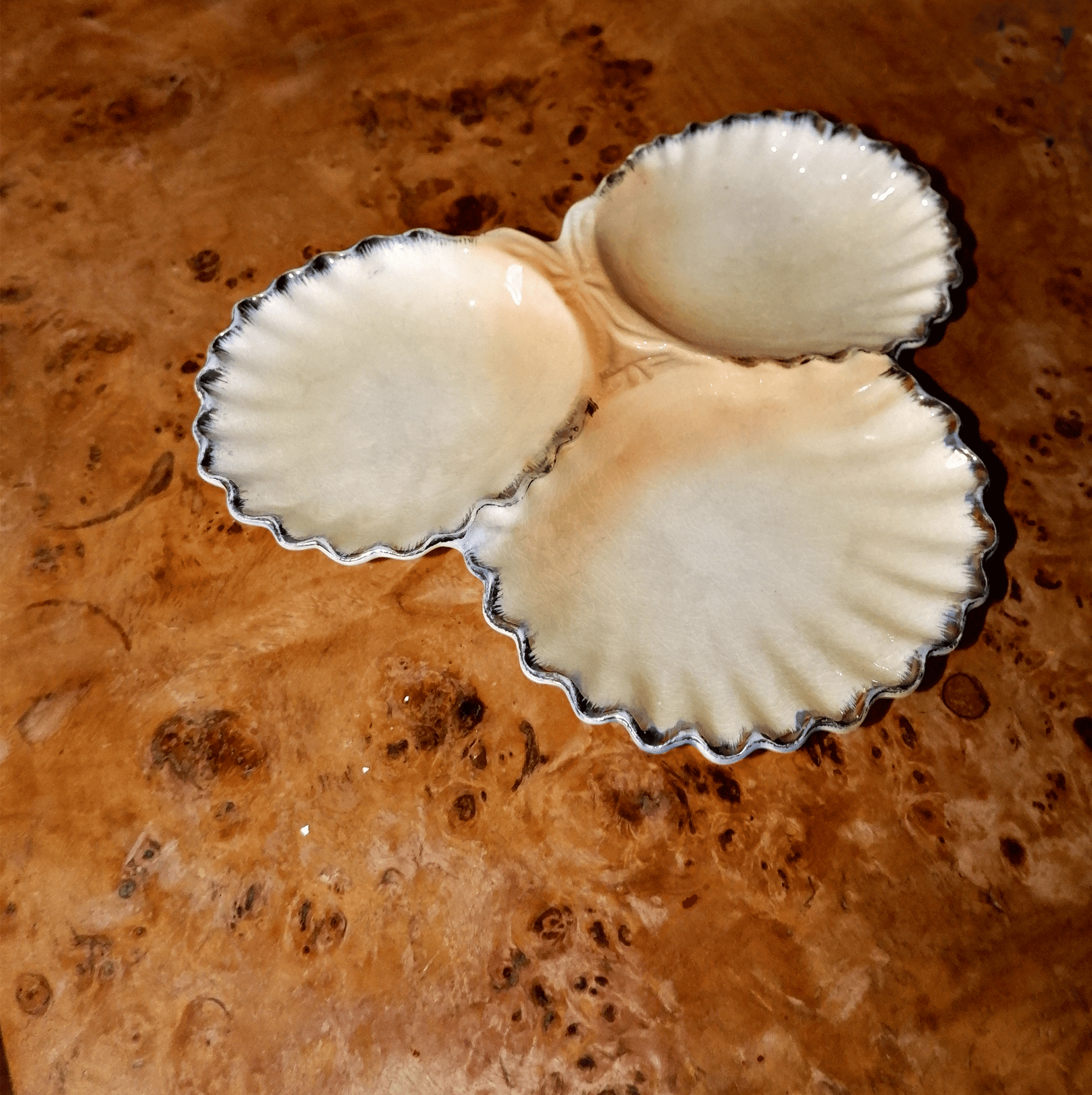 Roro Shell Plate Shell Plates + Bowls – MOLLUSC HOUSE
