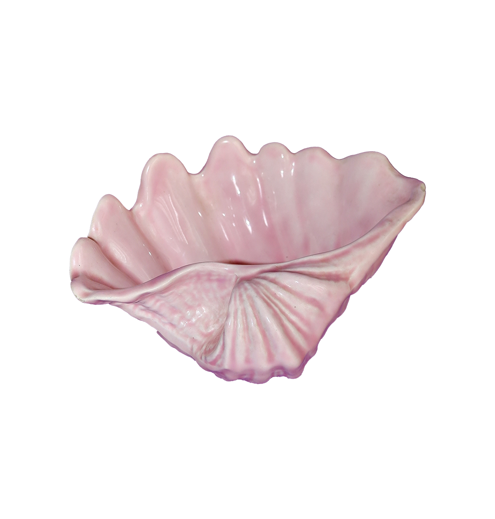 PINK CLAM SHELL