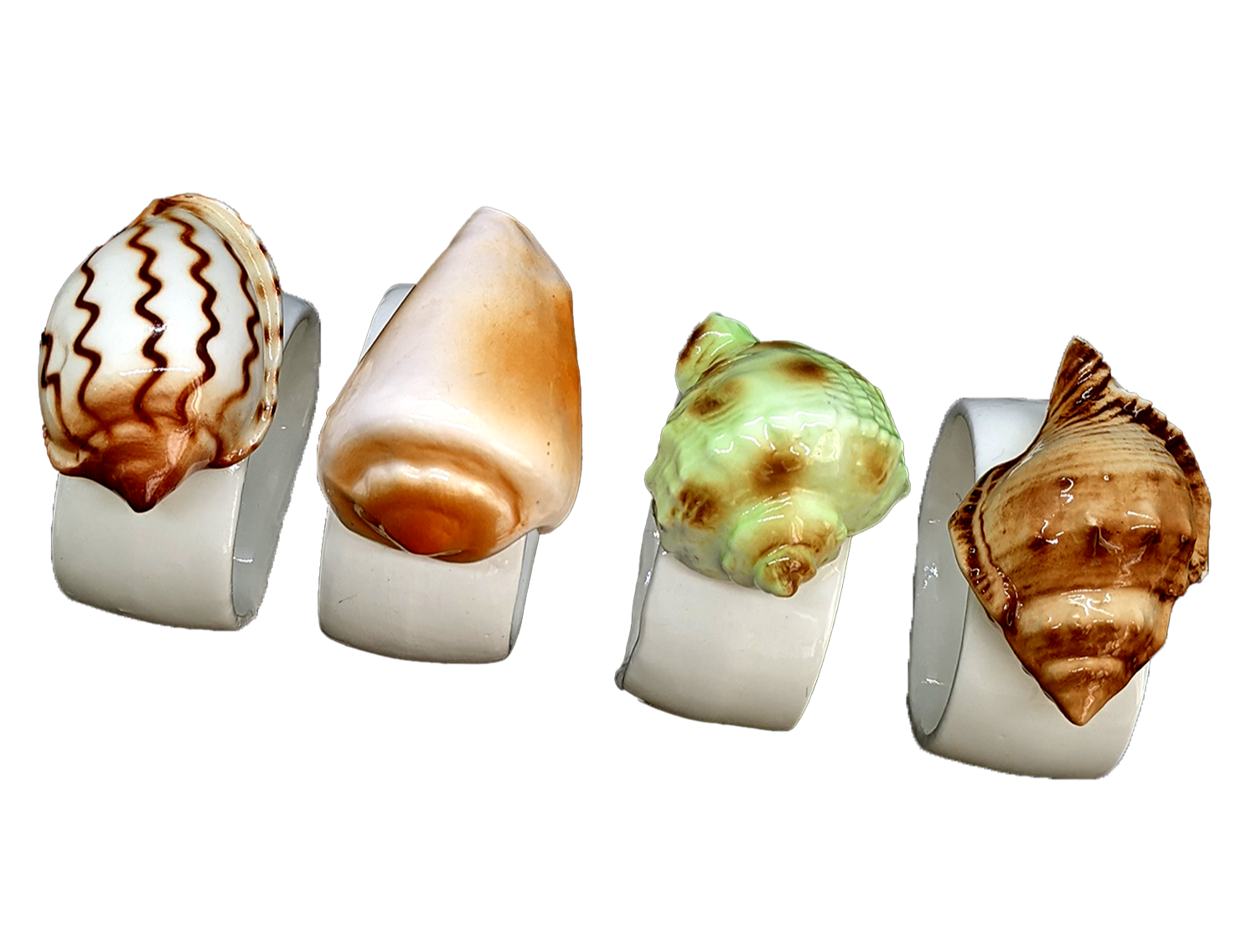 COLOURED SHELL RINGS – MOLLUSC HOUSE