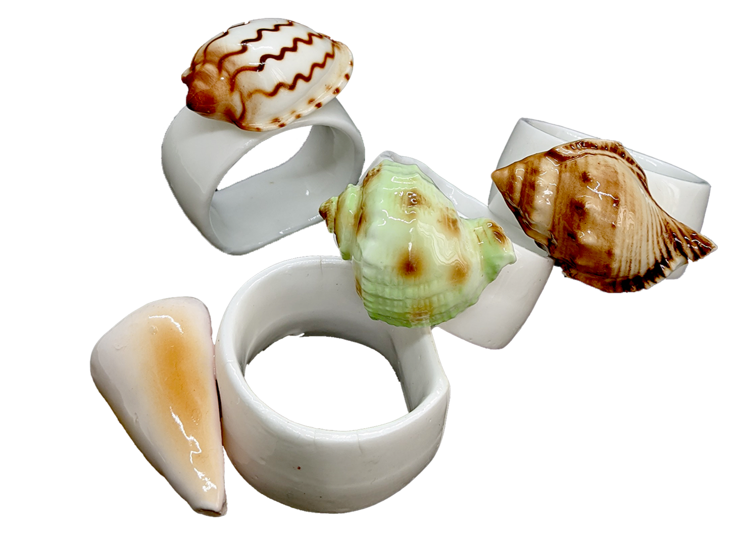 COLOURED SHELL RINGS – MOLLUSC HOUSE
