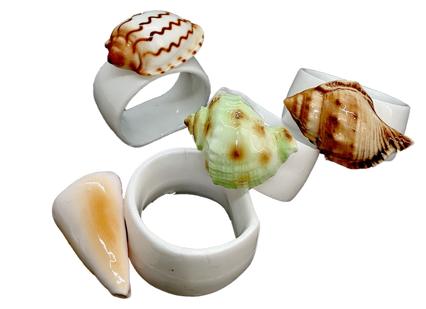 COLOURED SHELL RINGS