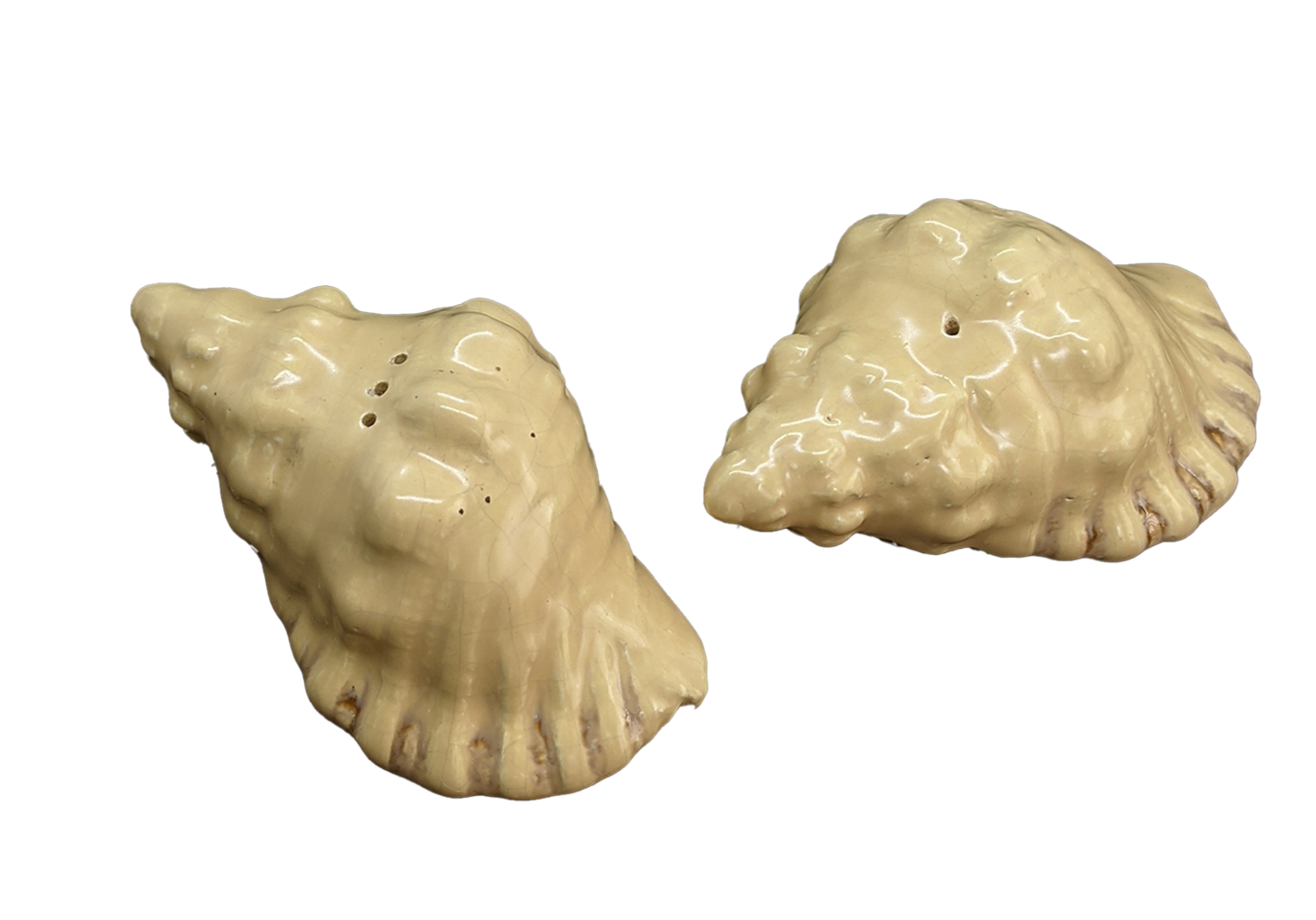 CONCH SHAKERS